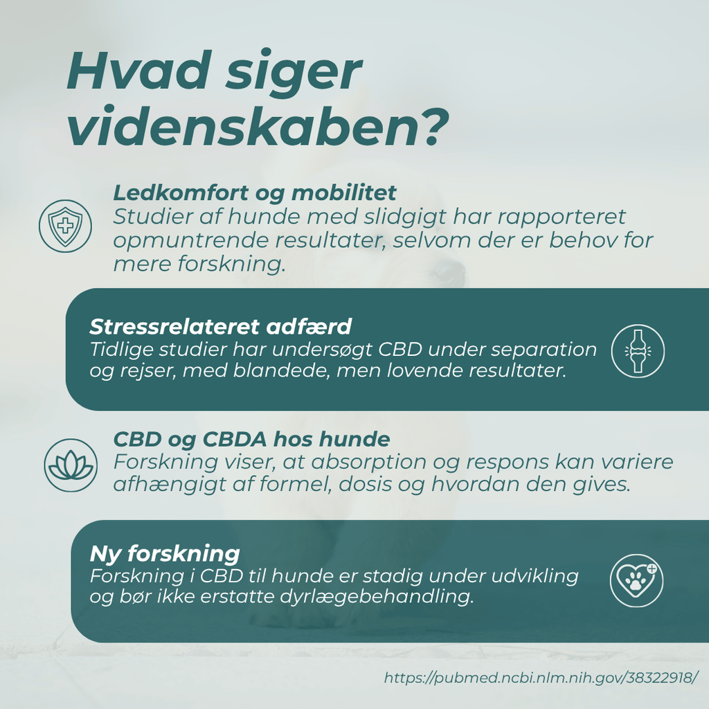 hvad siger videnskaben om cbd olie hunde