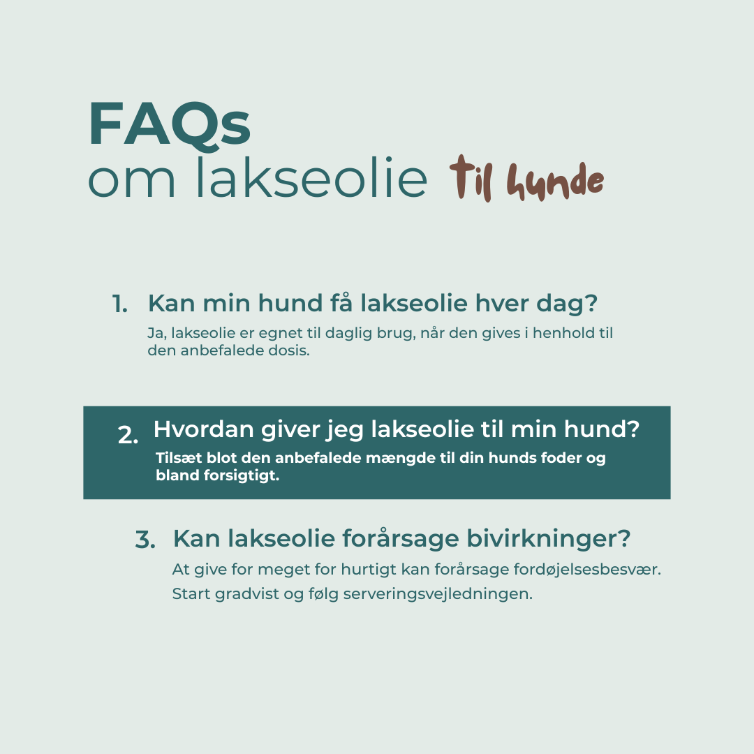 faqs om lakseolie