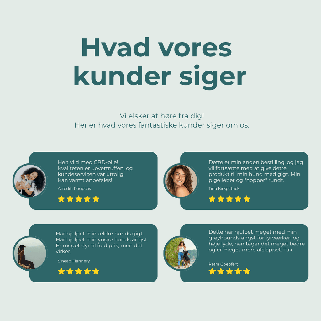 hvad vores kunder siger