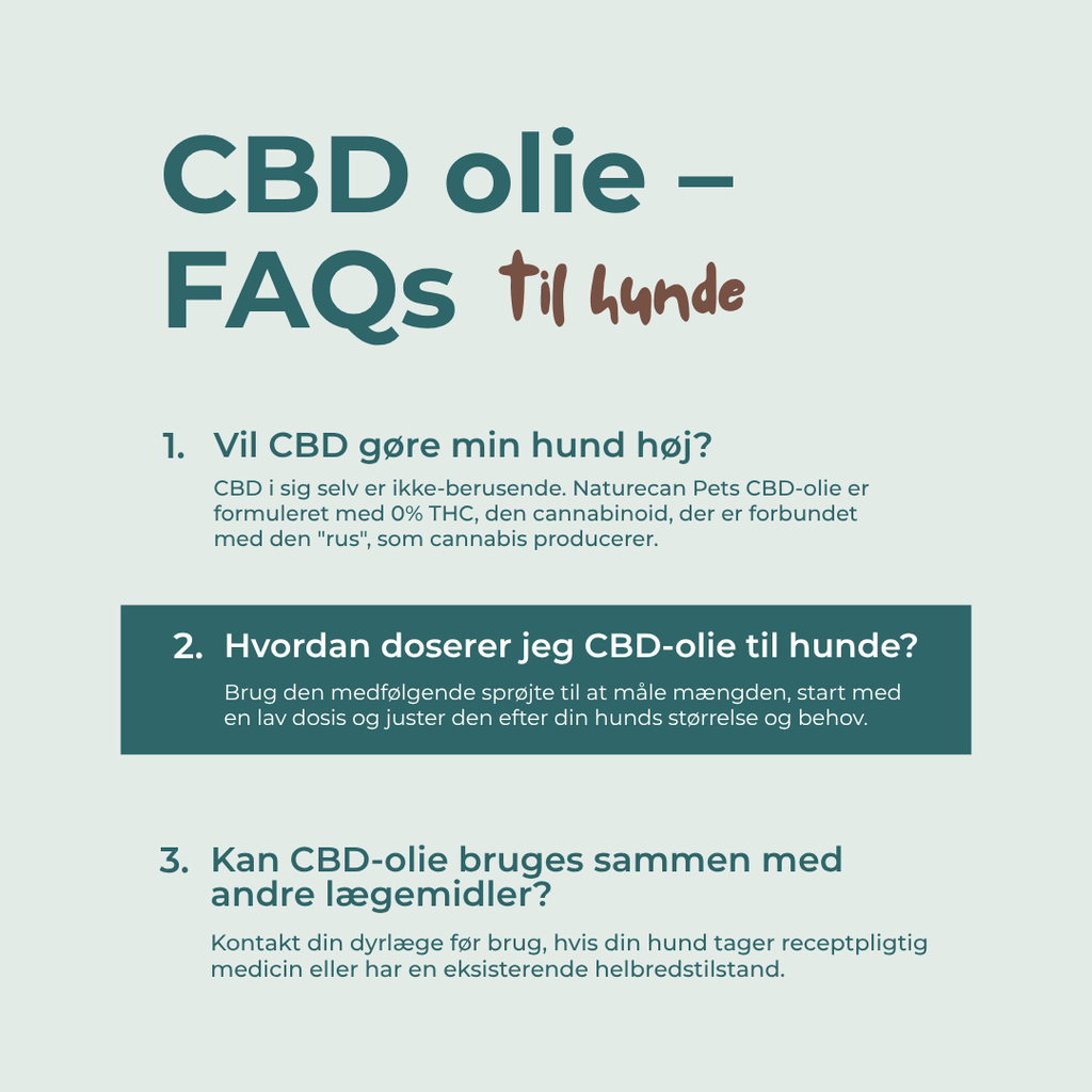 cbd olie til hunde faqs 
