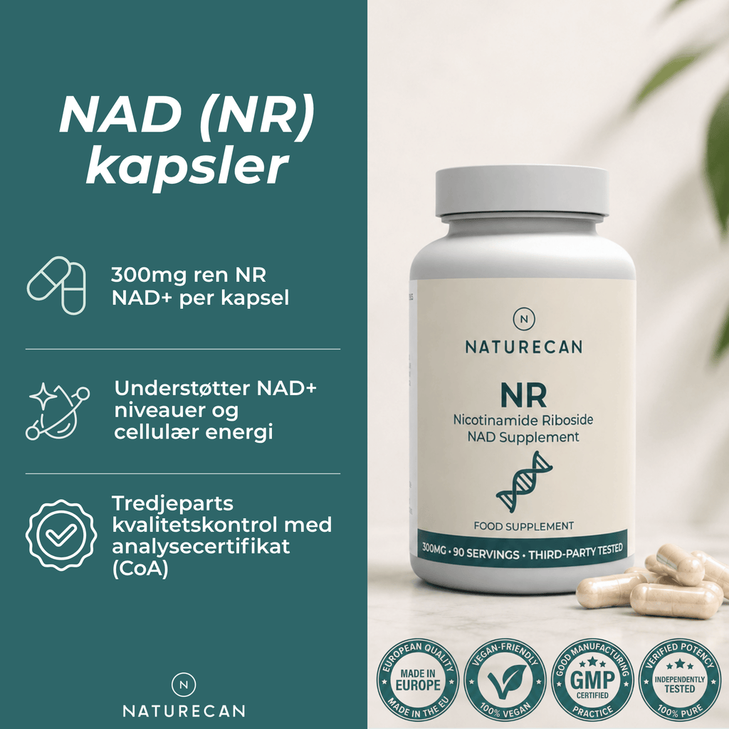 NR kapsler