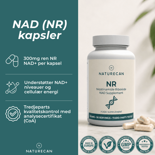 NR kapsler