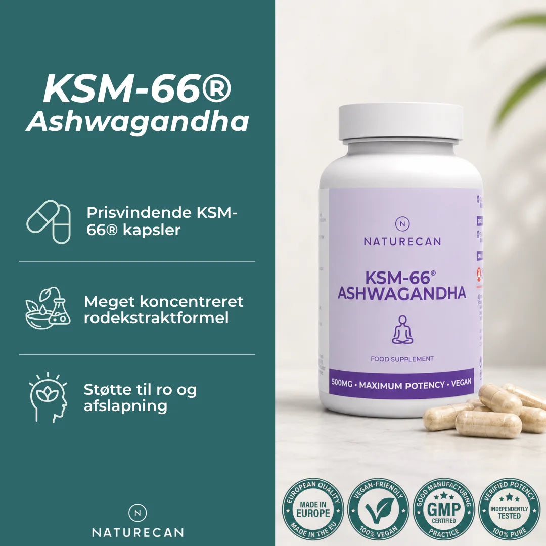 KSM-66 Ashwagandha