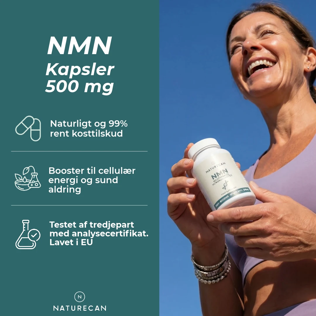 nmn tilskud