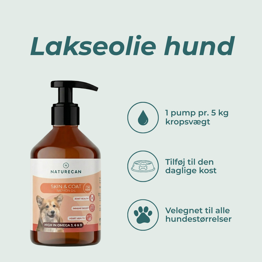 lakseolie hund fordel