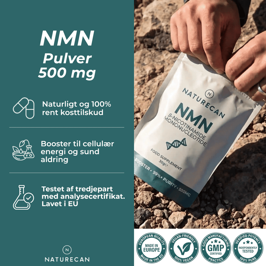 nmn pulver