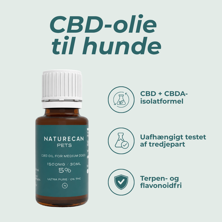 cbd olie til hunde