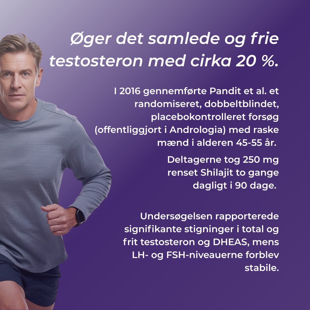 shilajit oger testosteron 