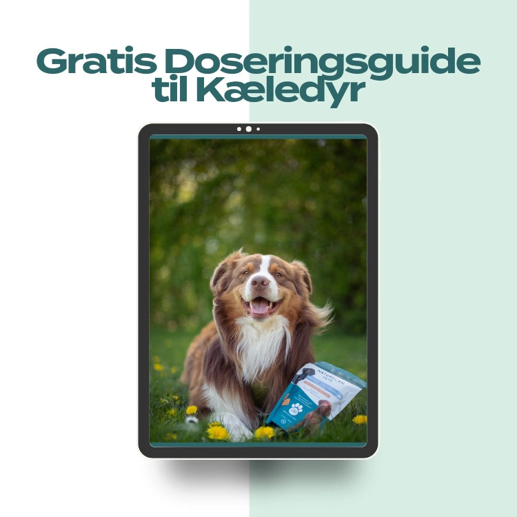 Dyr doseringsguide