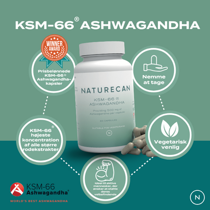 Fordele ved ashwagandha 
