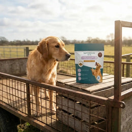 hundegodbidder for leder