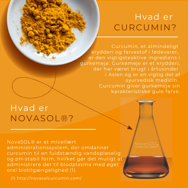hvad er curcumin 