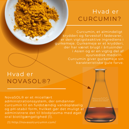 hvad er curcumin