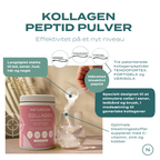 kollagen pulver