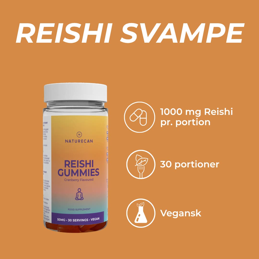 reishi svampe 