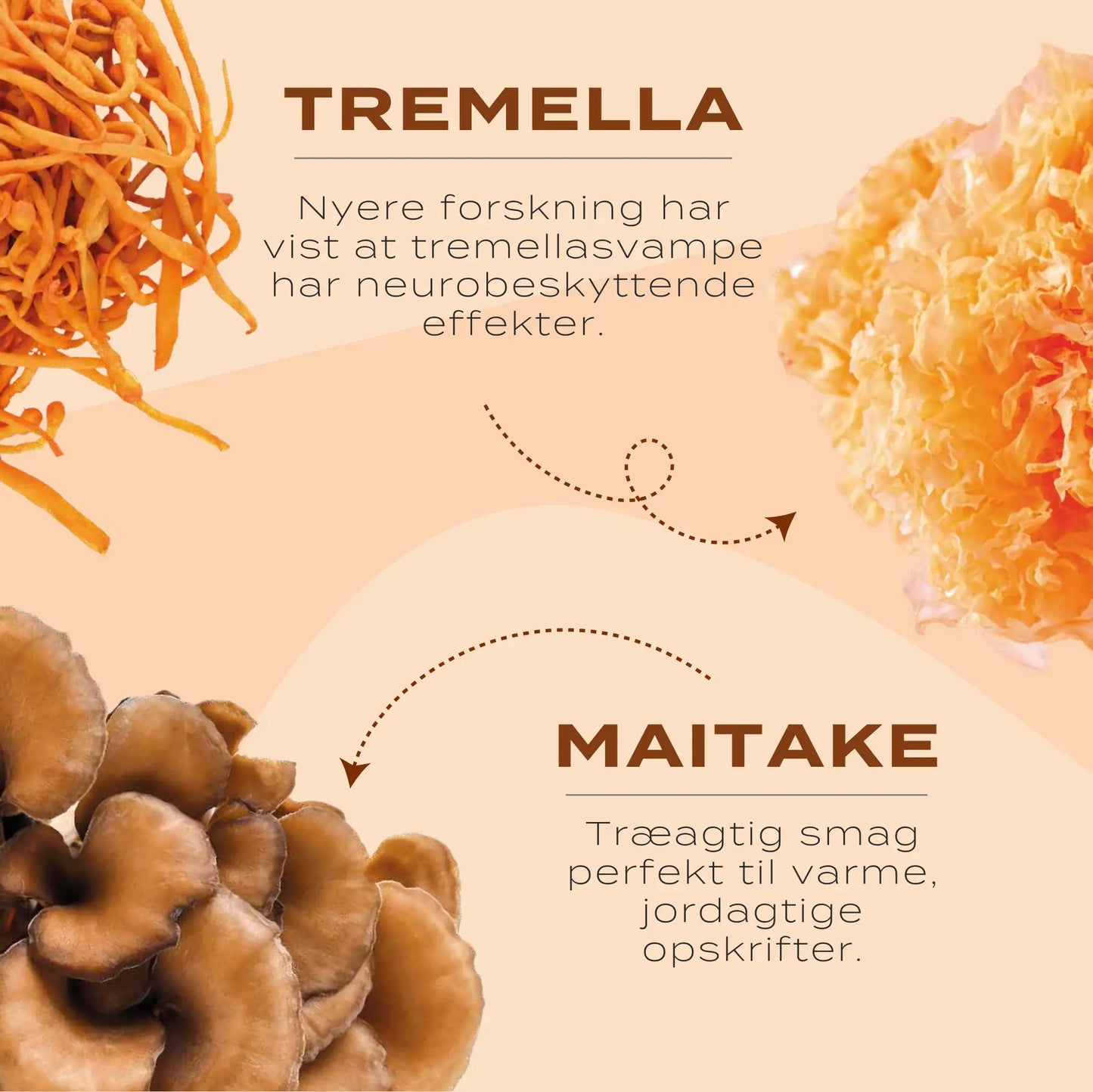 tremella, maitake