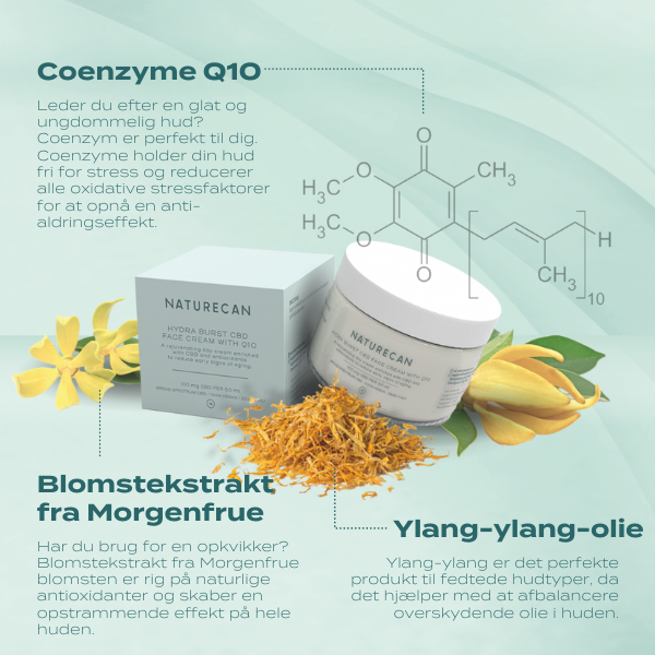 CBD Ansigtscreme med Q10, blomstekstrakt fra morgenfrue og Ylang-ylang olie